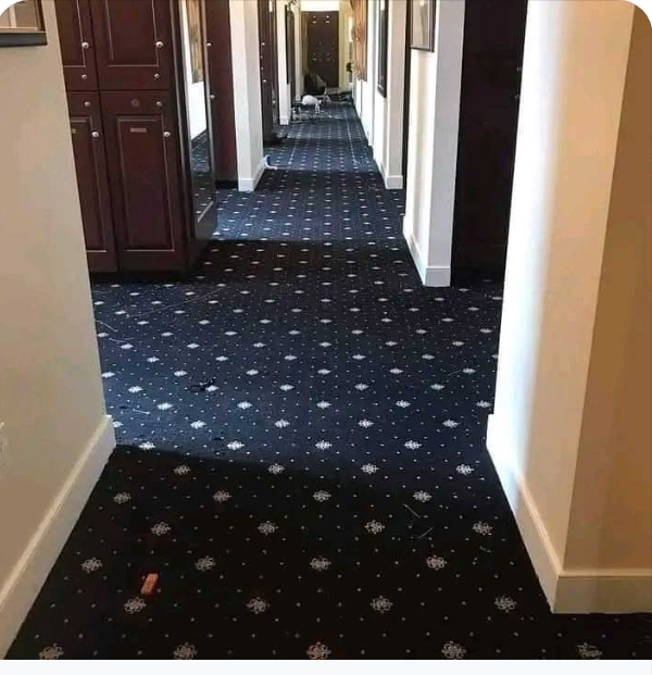 Affordable wall to wall carpet installation Nairobi Cheap carpet installation services Nairobi Reliable carpet installers in Nairobi Best carpet supply and installation company in Nairobi Cost of wall to wall carpet installation in Nairobi Where to buy wall to wall carpets in Nairobi Professional carpet fitting services Kenya